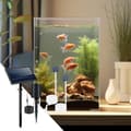Miniatyrbild 4 av 4: Sjöpump Luftpump Aerator, Solenergi, Justerbara lägen, Utomhusbruk