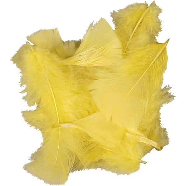 Gula Fjädrar av Kalkondun 7-8 cm - 50 gram