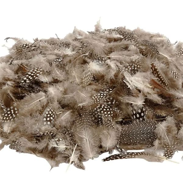 Pärlhönsfjädrar - Natur - 50 gram