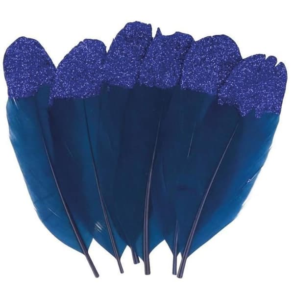 Pack med 6 blå fjädrar med lila glittrig spets 11x3.5cm - INGEN NAMN - Vuxen