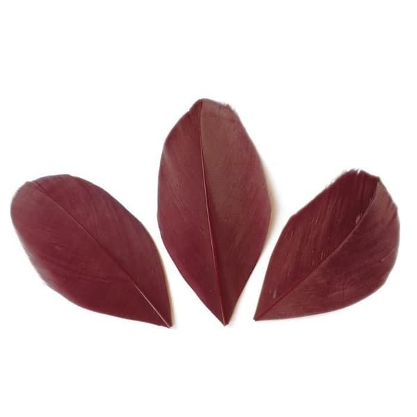 50 klippta fjädrar - Röd Bordeaux 6 cm