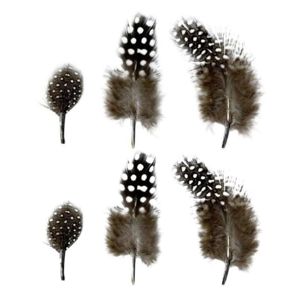 Naturliga fjädrar 2 till 6 cm - 6 g