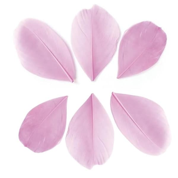 100 skurna fjädrar - Ljusrosa 6 cm