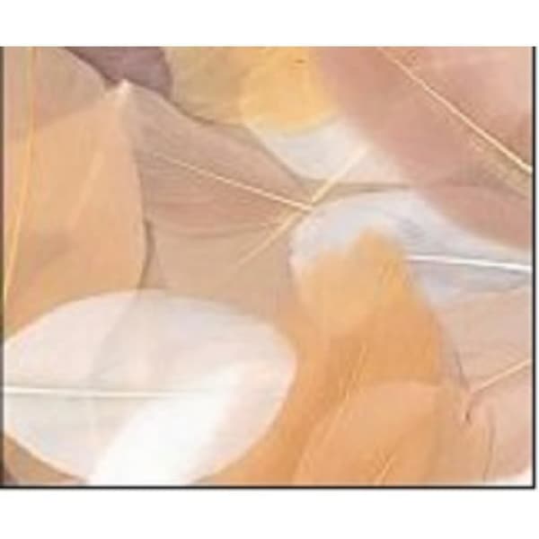 Klippta gåsfjädrar - Camaieu Beige