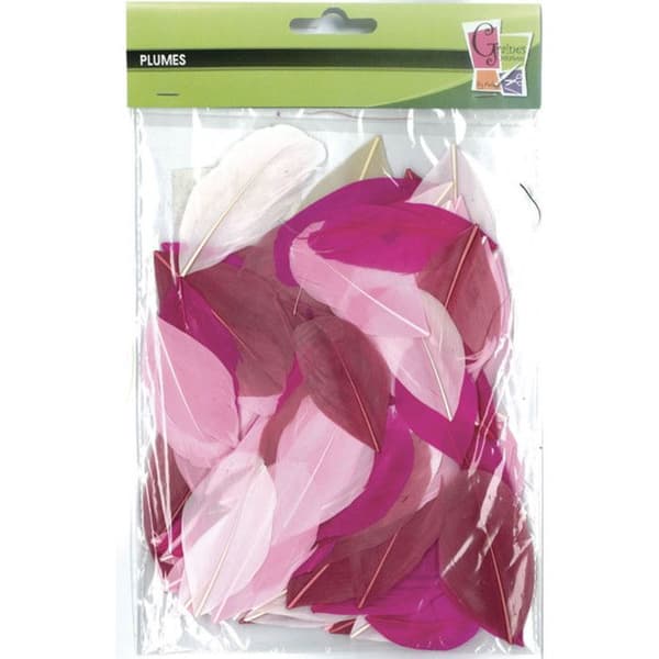 Bortskurna gåspennor - Camaïeu Rosa - Förpackning om 10g - Längd 6 cm