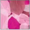 Miniatyrbild 1 av 2: Bortskurna gåspennor - Camaïeu Rosa - Förpackning om 10g - Längd 6 cm