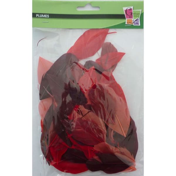 Klippta gåspennor - Camaïeu Röd - Påse med 10g - Längd 6 cm
