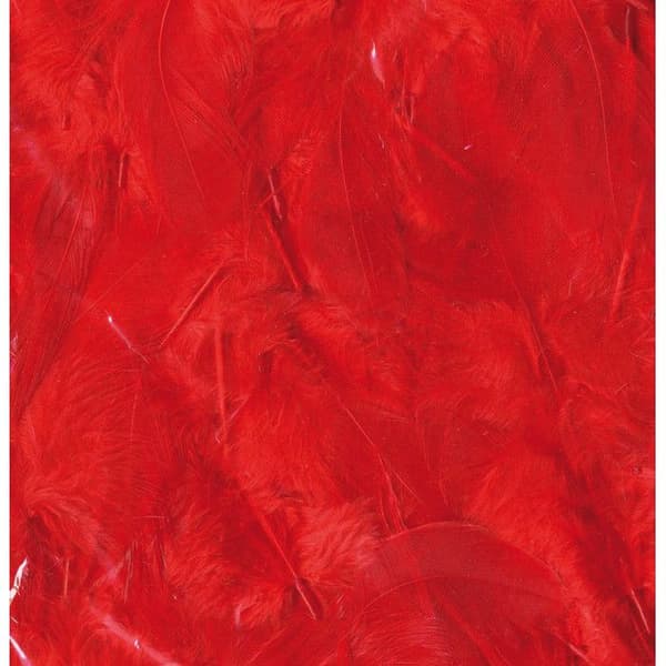 Volsade fjädrar Röda 10g - Artémio