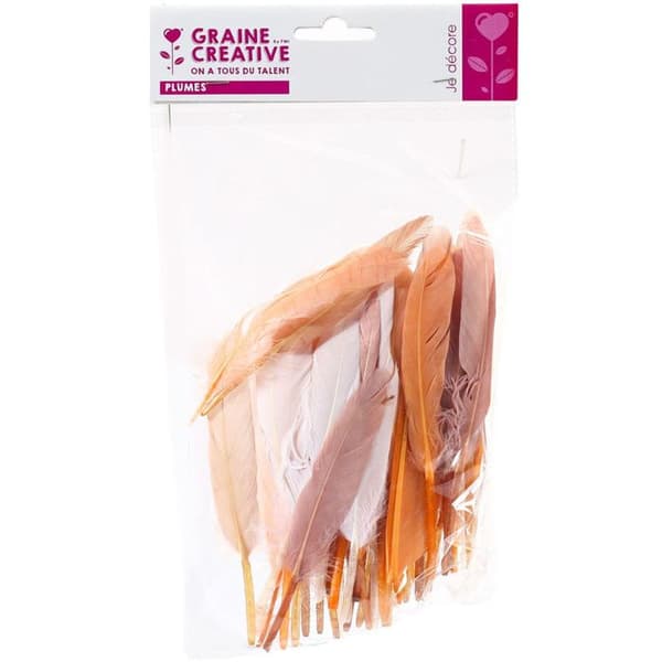 Indiska fjädrar - Camaïeu - Beige - Förpackning med 10g - Ungefär 40 fjädrar - Längd 15cm
