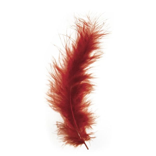 Dunig fjäder, rödbrun, 10 - 15 cm, 15 st {färg}