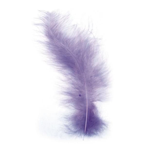 Plommon duveté Lila 10-15 cm 15 stycken