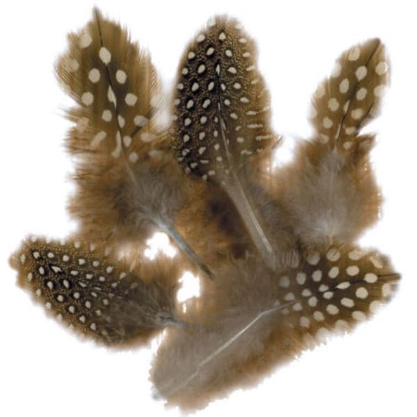 Naturliga strutsfjädrar 8 cm