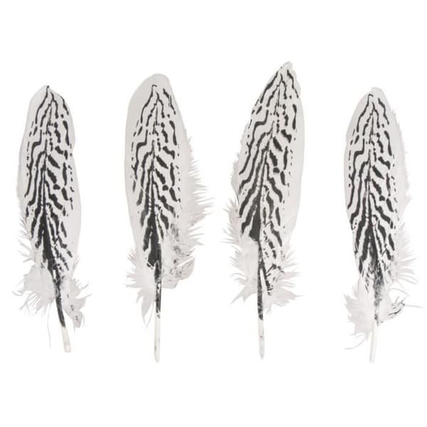 Plume Zebrert mönster 20/22cm x4 - Rayher Vit