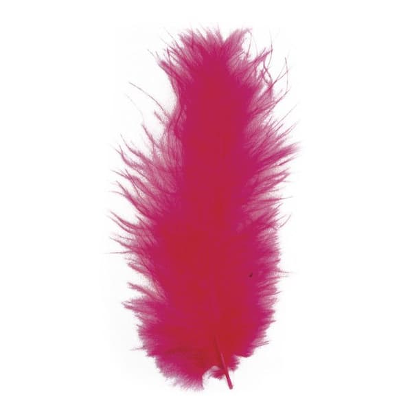 Fjädersprida, fuchsia, 10 - 15 cm, 15 stycken