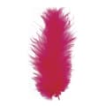 Miniatyrbild 1 av 2: Fjädersprida, fuchsia, 10 - 15 cm, 15 stycken