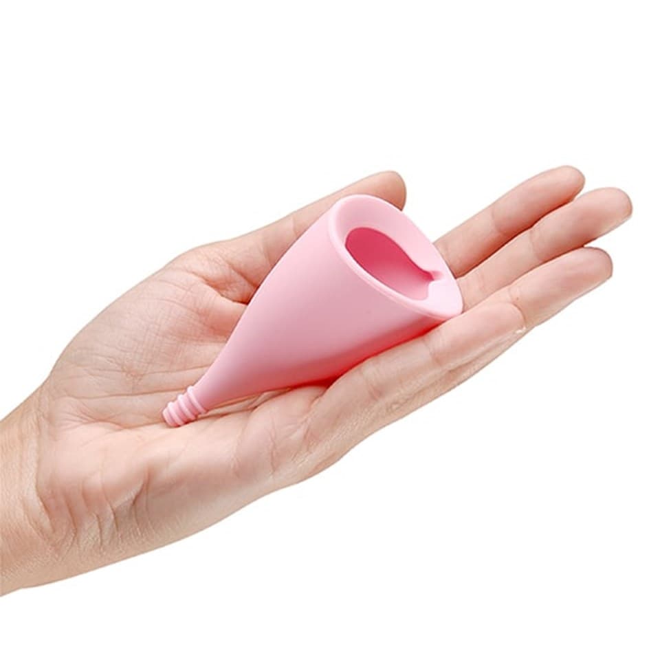 LILY CUP A
