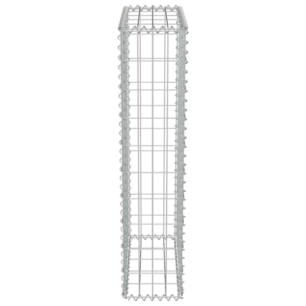 vidaXL Gabionseinä kansilla galvanoitu teräs 50x20x100 cm