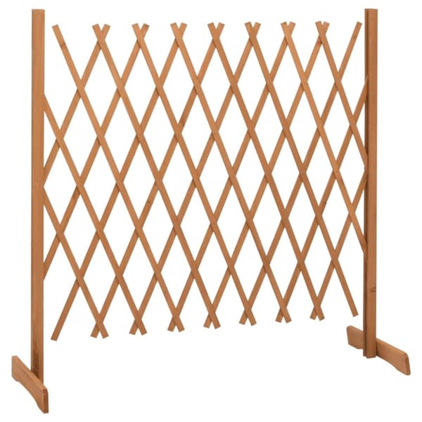 vidaXL Espaliergjerde oransje 180x100 cm heltre gran