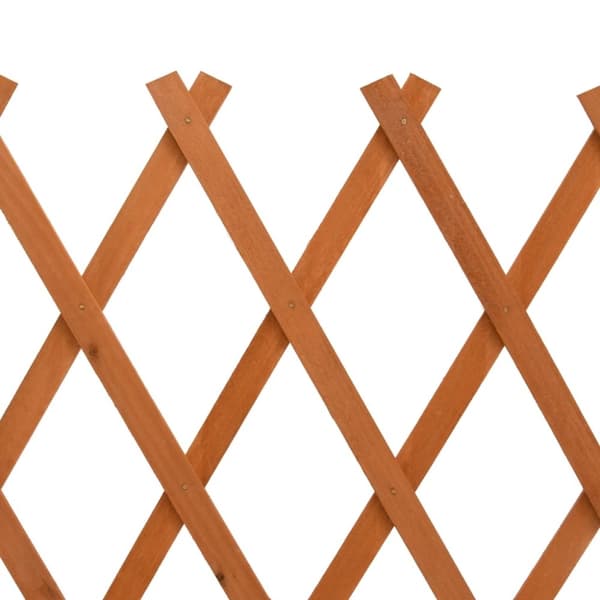 vidaXL espalier til haven 120x60 cm massivt fyrretræ orange