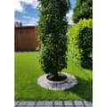 Pikkukuva 5 / 11: Alumiininen puurengas Korkeus 100 mm Halkaisija 1 m | Alennus reuna | Puutarhan raja | Ruohon reuna