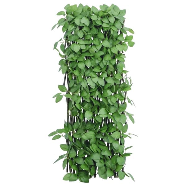 vidaXL Utvidbart espalier med kunstig eføy 5 stk grønn 180x65 cm