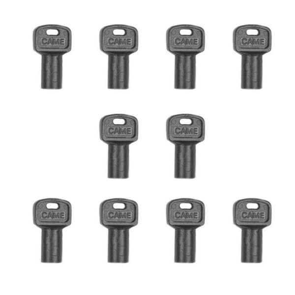 Set med 10 universella frigöringsnycklar CAME 119RIY077 för motorisering