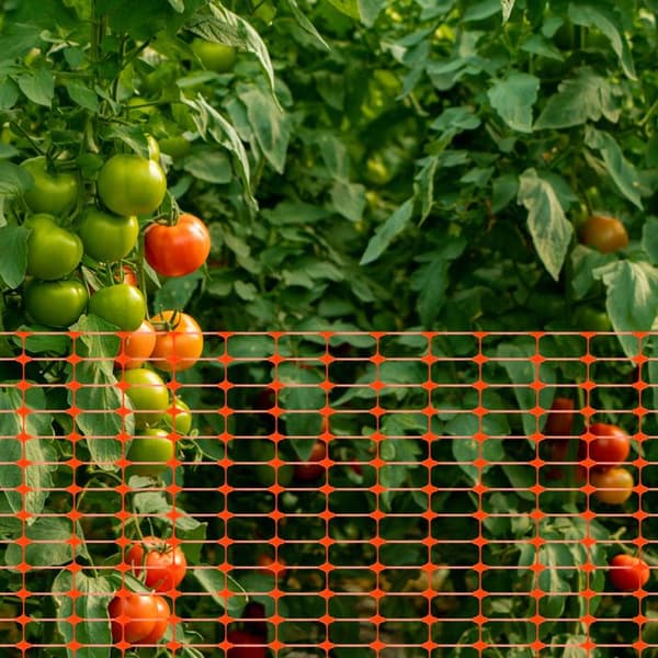LZQ plastskyddsstängsel, mobilt staket, flexibelt stängselnät för kycklingar, 2 x 80 m orange