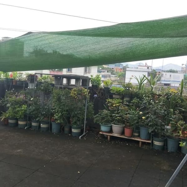 YUENFONG Privacy Screen för staket och balkongräcke, med buntband, polyeten, 1,5x10 m, mörkgrön