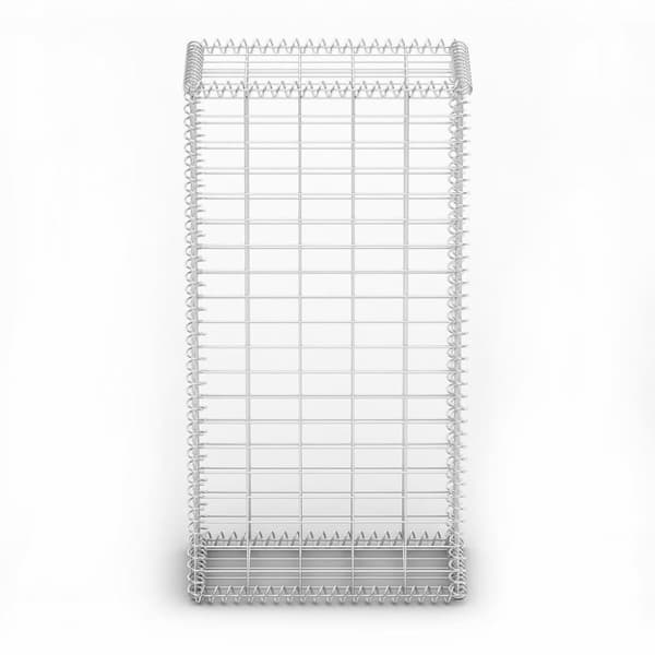 vidaXL Gabionkorg med lock galvaniserad tråd 100 x 50 x 30 cm -  Staket