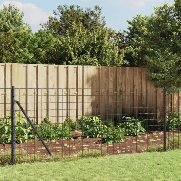 vidaXL trådhegn 1x25 m galvaniseret stål antracitgrå - Havehegn
