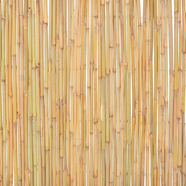 The Living Store bambushegn 300 x 100 cm -  Havehegn
