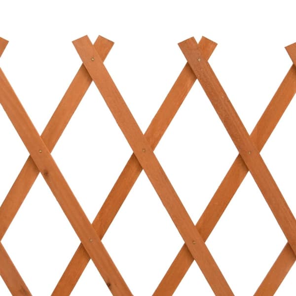 The Living Store espalier til haven 150x80 cm massivt fyrretræ orange -  Havehegn