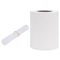 Miniatyrbillede 3 af 11: The Living Store haveskærm 35x0,19 m PVC hvid -  Havehegn