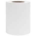 Miniatyrbillede 5 af 11: The Living Store haveskærm 35x0,19 m PVC hvid -  Havehegn