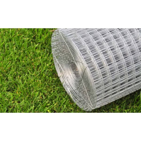 Havehegn - Living hønsenet galvaniseret stål 25 x 1 m sølvfarvet