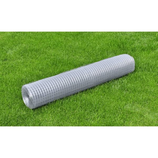 Havehegn - Living hønsenet galvaniseret stål 25 x 1 m sølvfarvet
