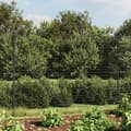 Miniatyrbillede 2 af 6: Havehegn - Living trådhegn 1,6x10 m galvaniseret stål antracitgrå