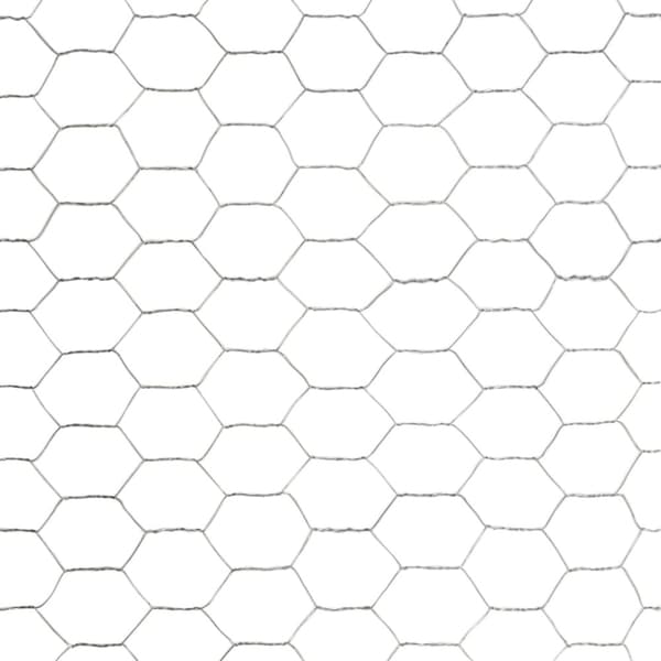 Havehegn - Living hønsenet galvaniseret stål 25 x 1,2 m sølvfarvet