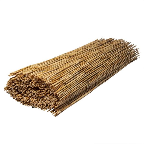 Naturlig vassrör WERKA PRO Längd 5 m 1 x 5 m