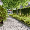 Miniatyrbilde 2 av 11: vidaXL Plenkanter 10 stk olivengrønn 15x103 cm kaldvalset stål