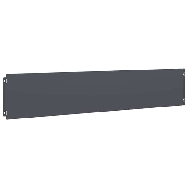 vidaXL Plenkanter 10 stk antrasitt 20x103 cm kaldvalset stål