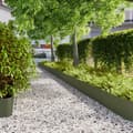 Miniatyrbilde 2 av 11: vidaXL Plenkanter 20 stk olivengrønn 25x103 cm kaldvalset stål