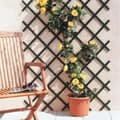 Miniatyrbild 1 av 2: Plastspaljé - Intermas Gardening - TRELLIFLEX - Grön - 1 x 2 meter