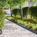 Miniatyrbilde 2 av 6: vidaXL gresskanting 50 stk Antrasitt 100x0.5x15 cm Plast