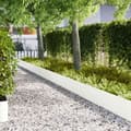 Miniatyrbilde 2 av 6: vidaXL Plenkanter 20 stk Hvit 100x0,5x30 cm Plast