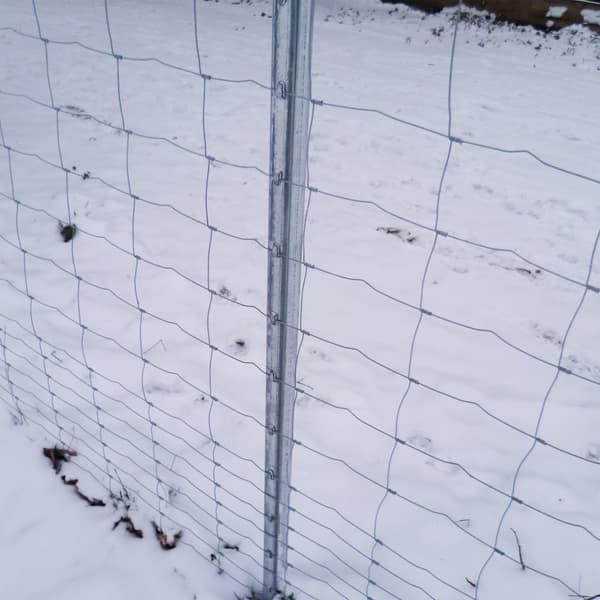 250 m Vildthegn Skovhegn 150/13/15 + Z-sektion hegnspæle