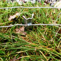 Miniatyrbild 5 av 5: 100 W-profil Stängselankare Markankare för viltstängsel Skogsstängsel Fältstängsel 50 cm