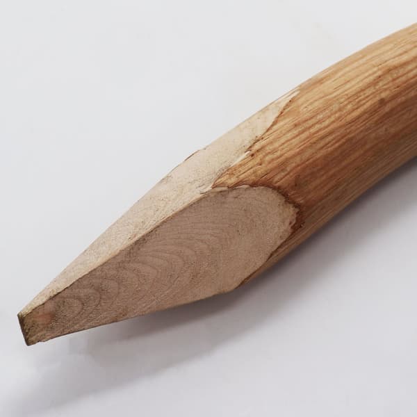 90:- Trästolpar till staket 1,5 m I Diameter 6-9 cm I Staketstolpar av hasselnöt I Staketstolpe