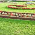Miniatyrbild 7 av 8: 2500 x 10 x 0.2cm Gräsmattekant PE plastbäddkant Flexibel gräsmattekant Bäddkant Klippkant Rotspärr Brun