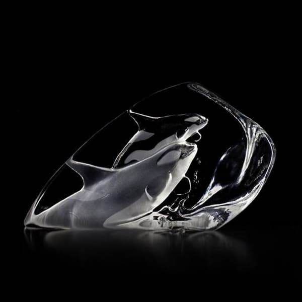 Orca - Målerås